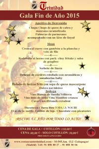 Gala Fin de año 2015- Definitiva