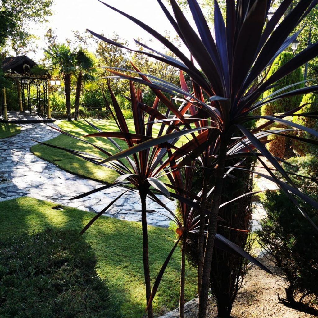jardines para eventos en Madrid