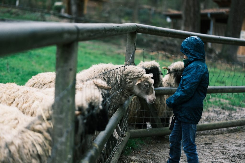 Animales de granja: encanto rural en comuniones madrileñas