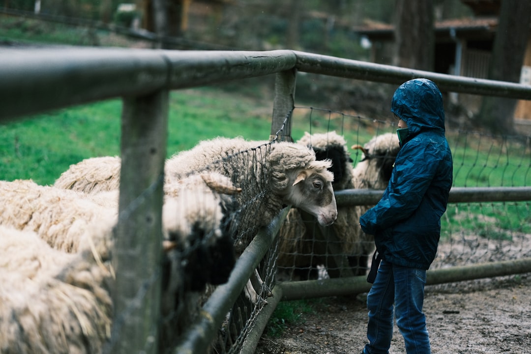 Animales de granja: encanto rural en comuniones madrileñas