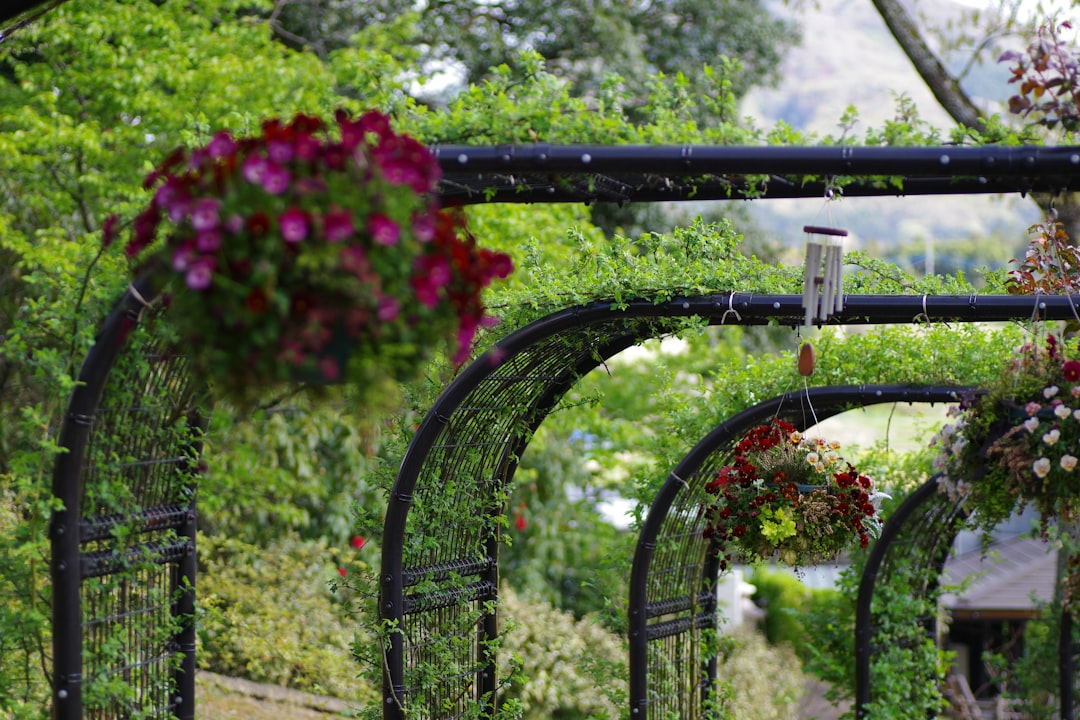 Jardines históricos: inspiración botánica en comuniones madrileñas actuales