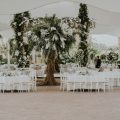 Jardines verticales y plantas autóctonas: claves verdes para bautizos en Madrid 2026